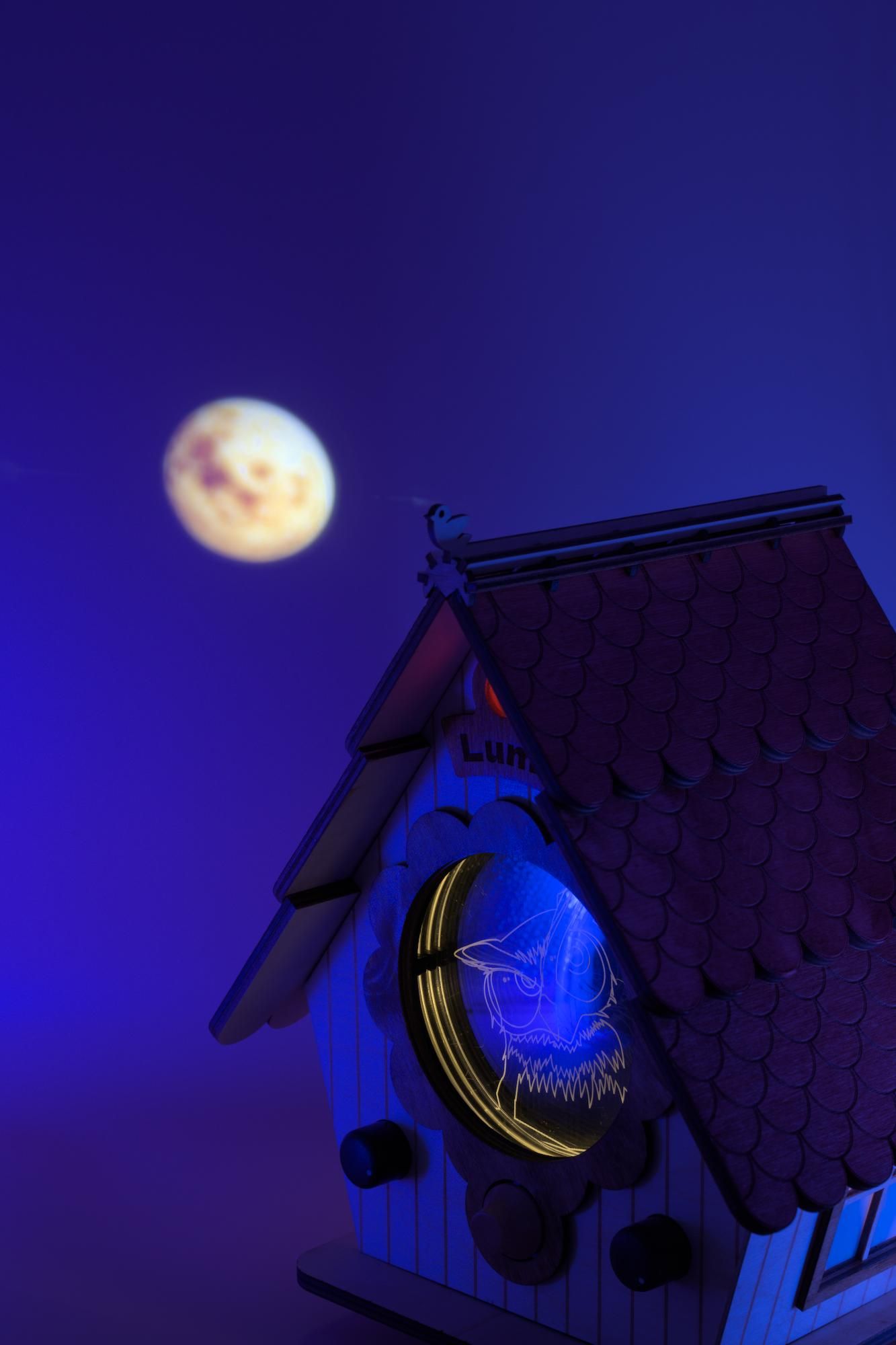 Birdhouse at night projecting a moon onto the ceiling