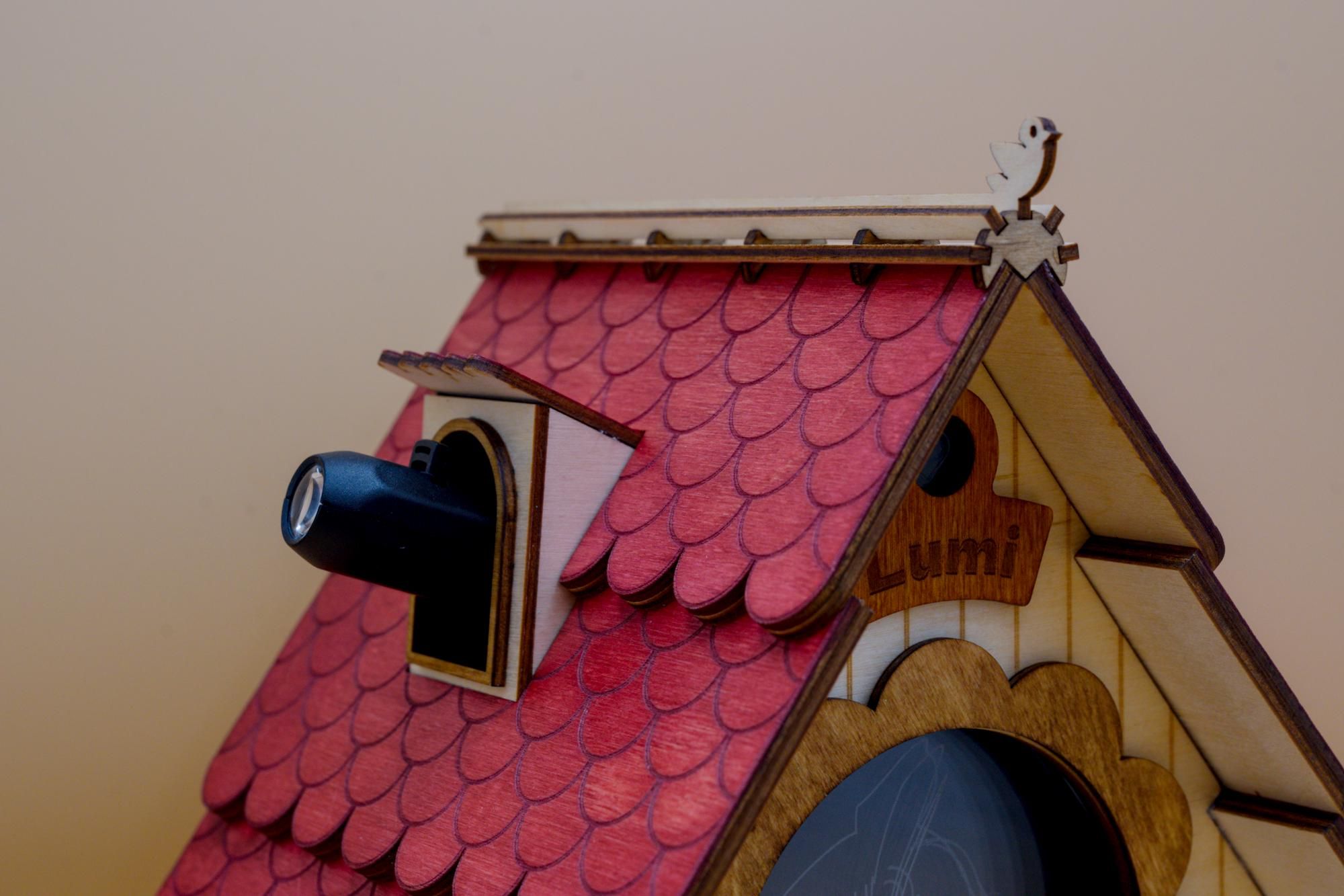 Projector protruding from a dormer in the birdhouse roof